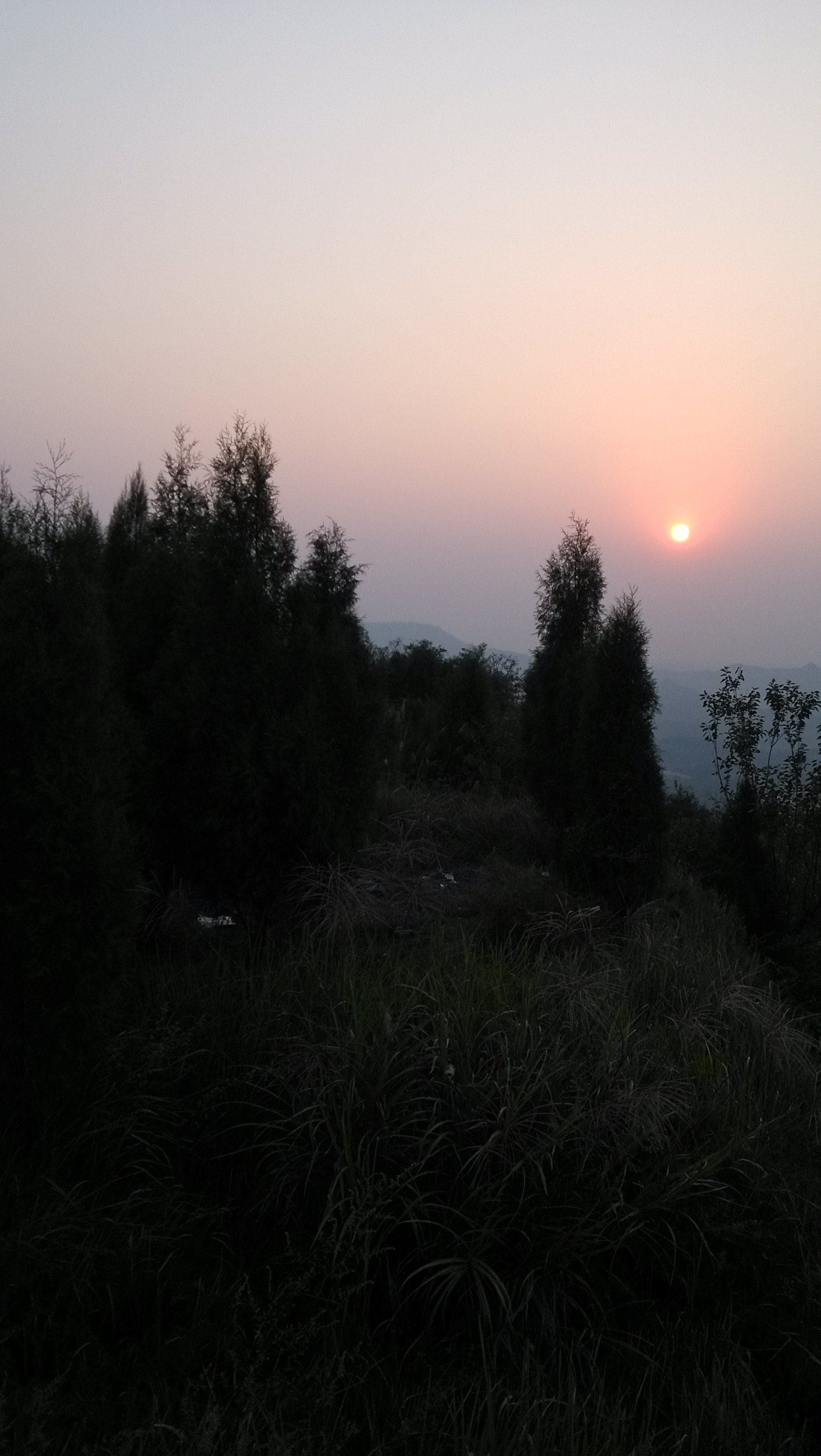 IMG_20131013_175652.jpg
