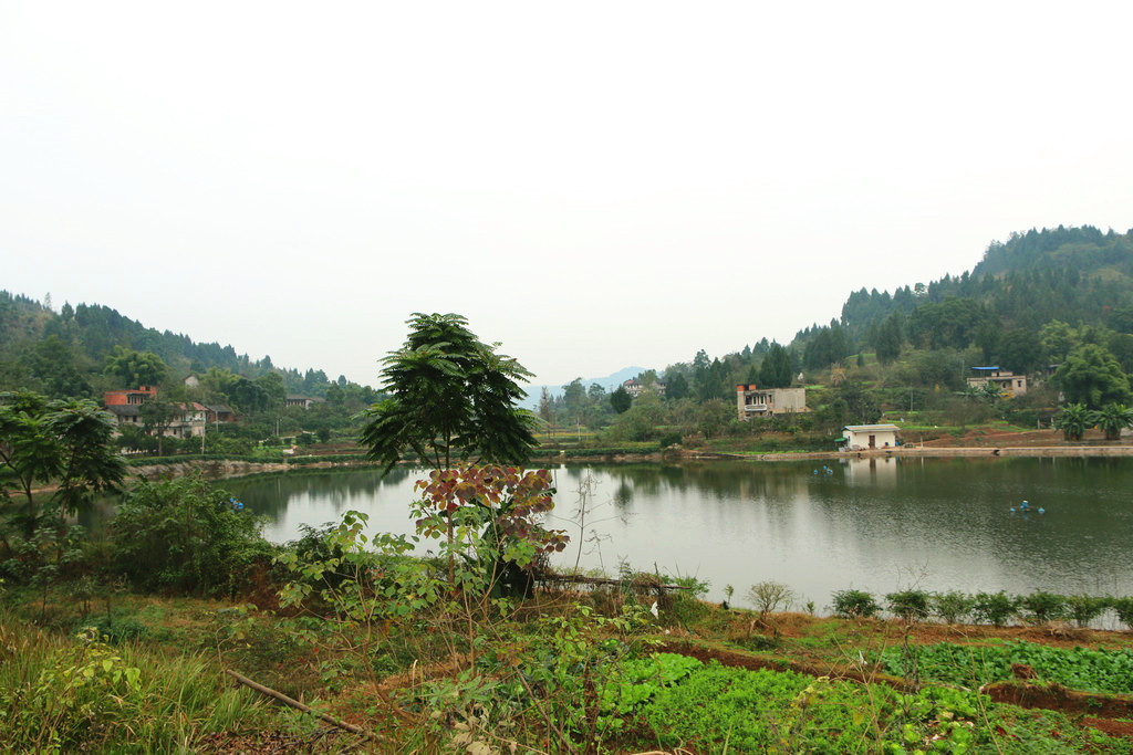 金溪镇沈家坝村冬景