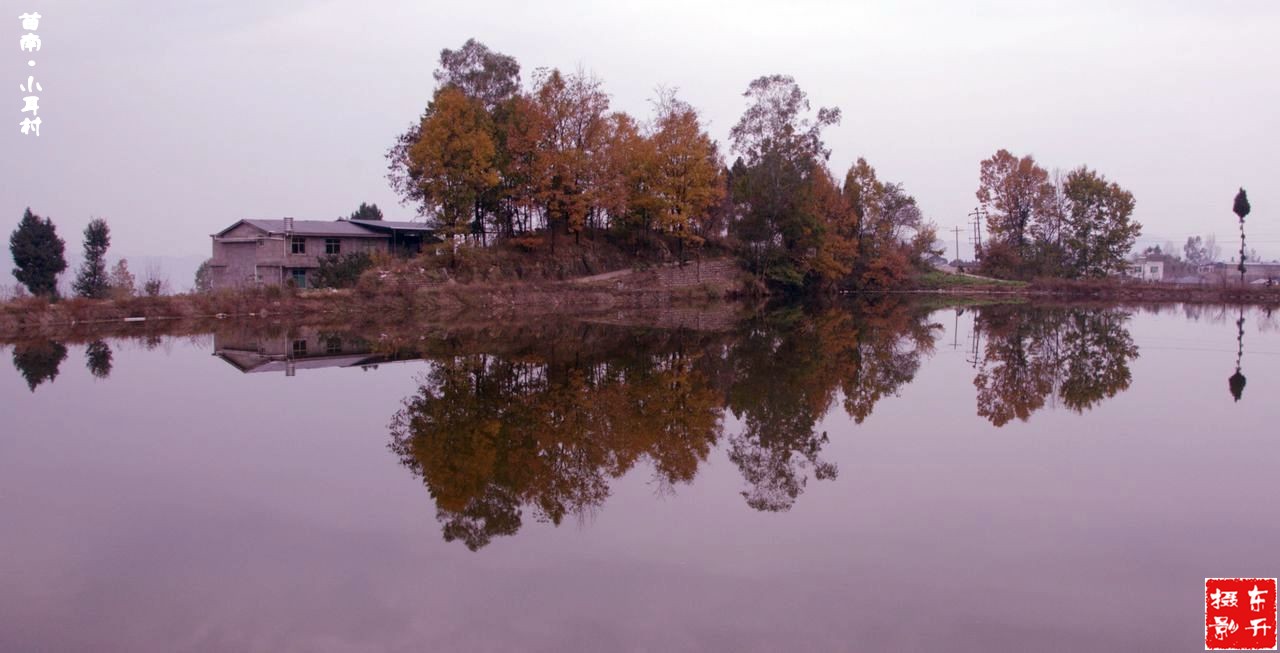 DSC_0004.jpg