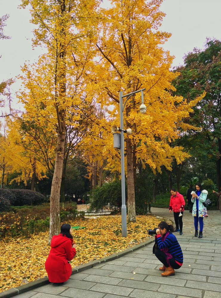 snapseed-07_С.jpeg