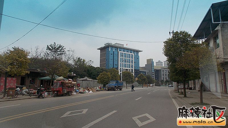 DSCN1703.jpg