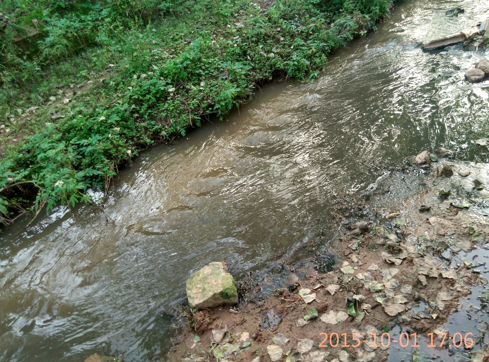 IMG_20151001_170641_HDR.jpg