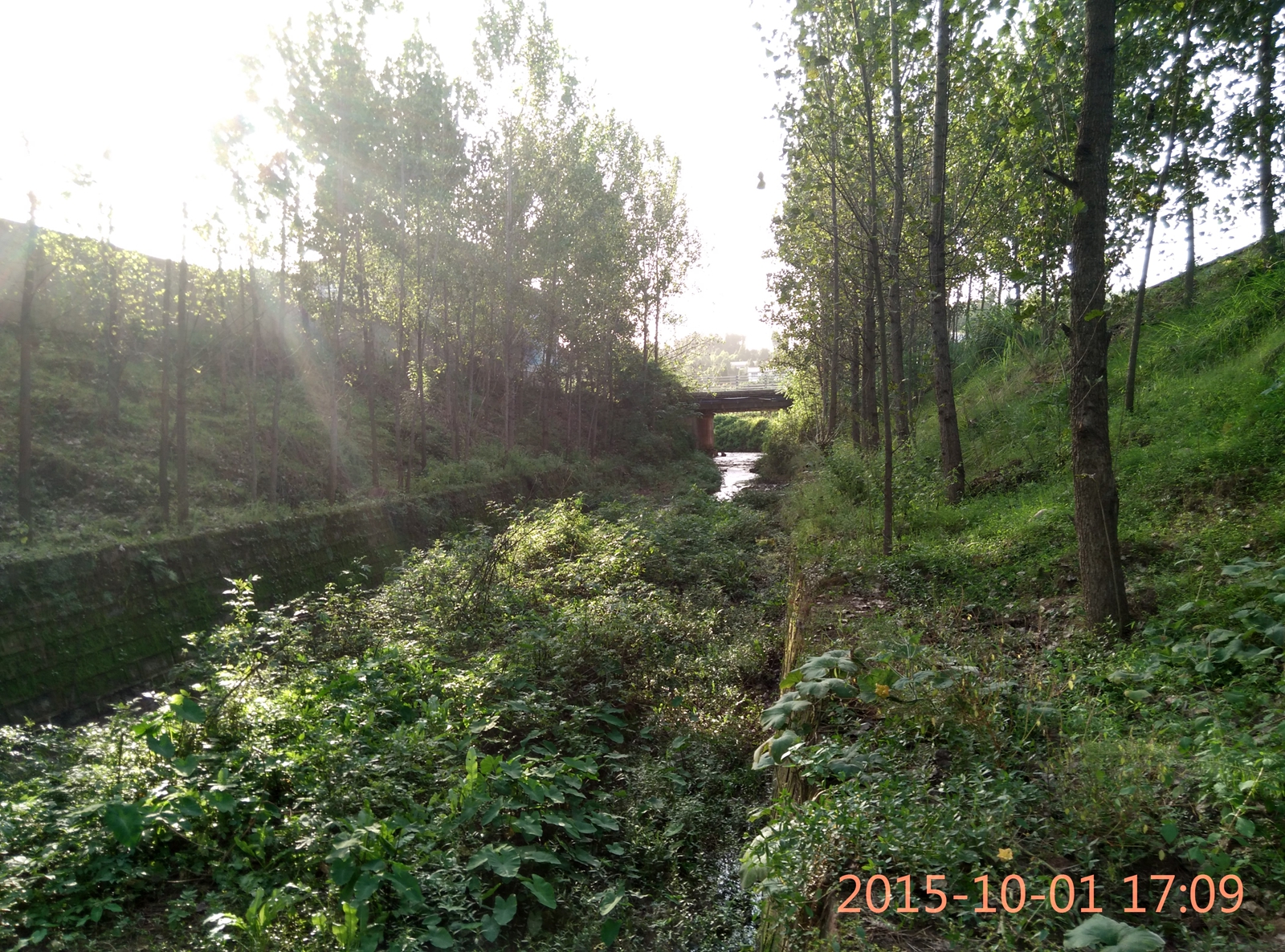 IMG_20151001_170910_HDR.jpg
