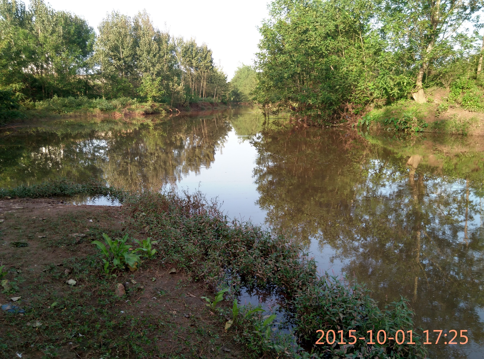 IMG_20151001_172515_HDR.jpg