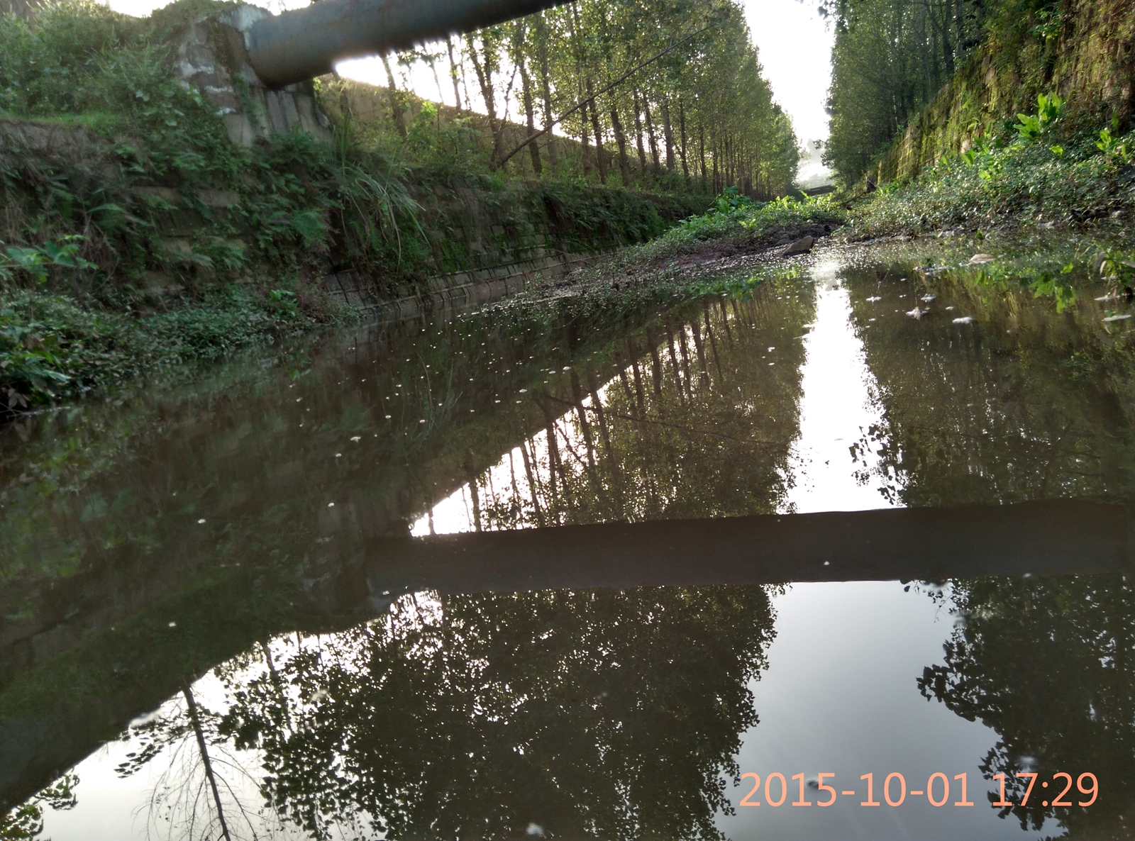 IMG_20151001_172943_HDR.jpg