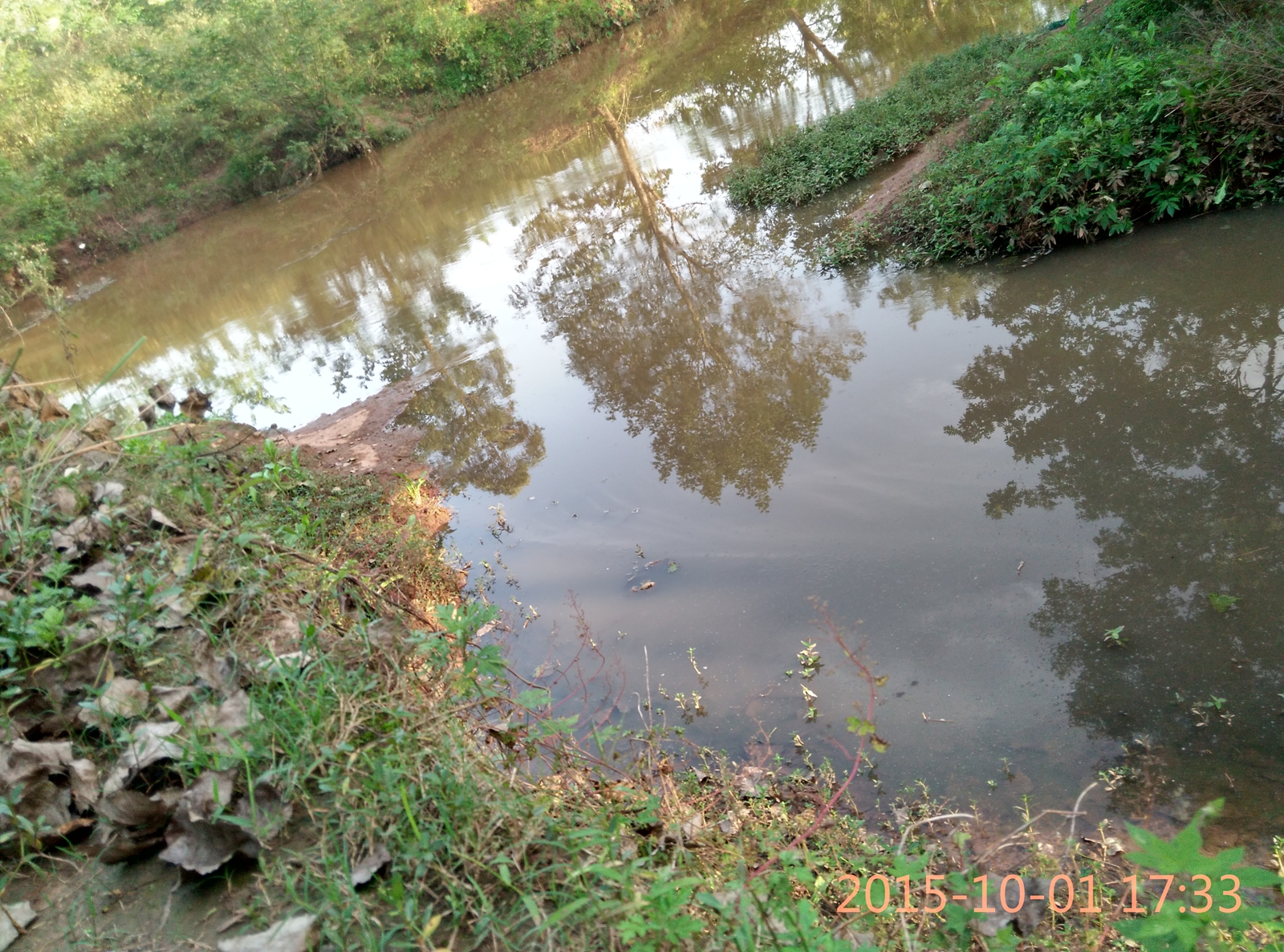 IMG_20151001_173300_HDR.jpg