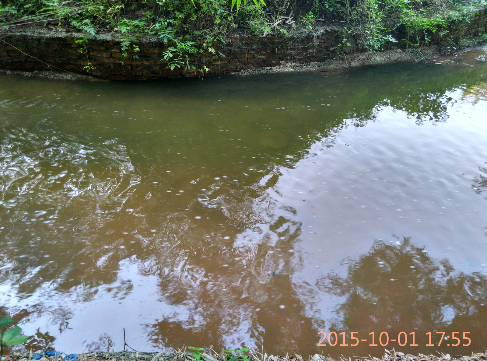 IMG_20151001_175520_HDR.jpg