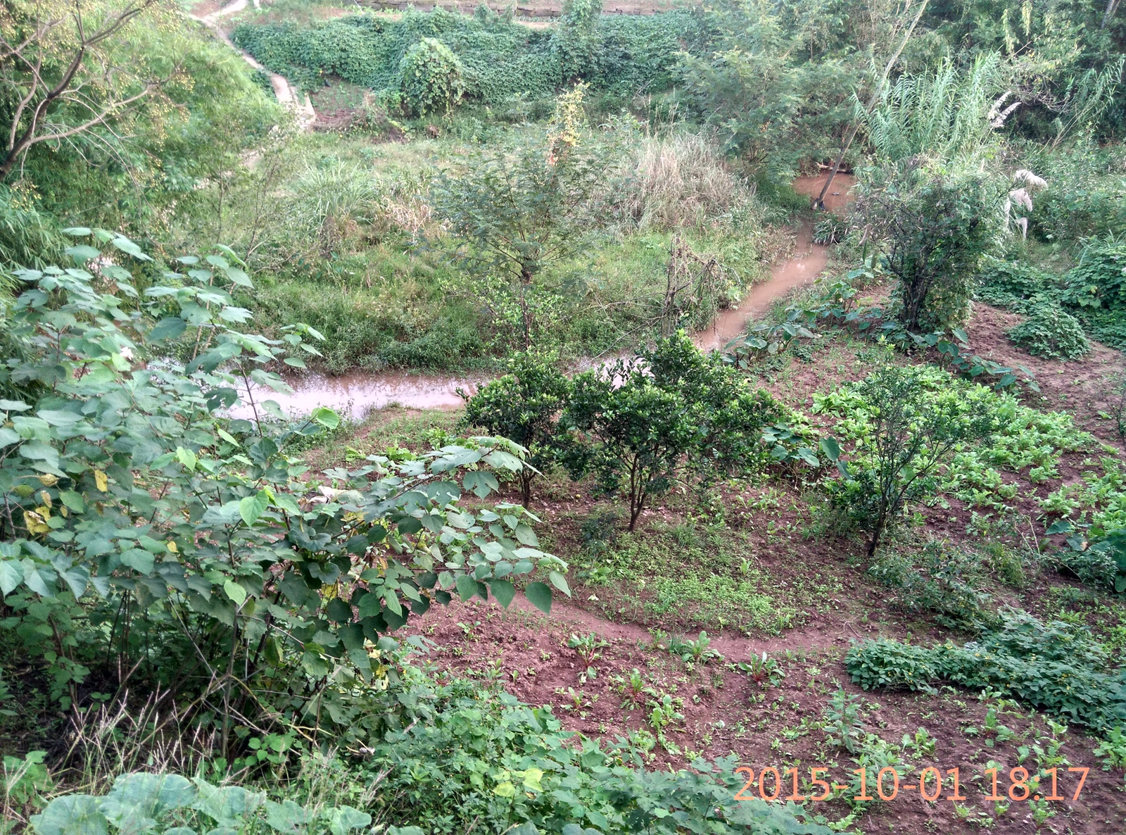 IMG_20151001_181725_HDR.jpg