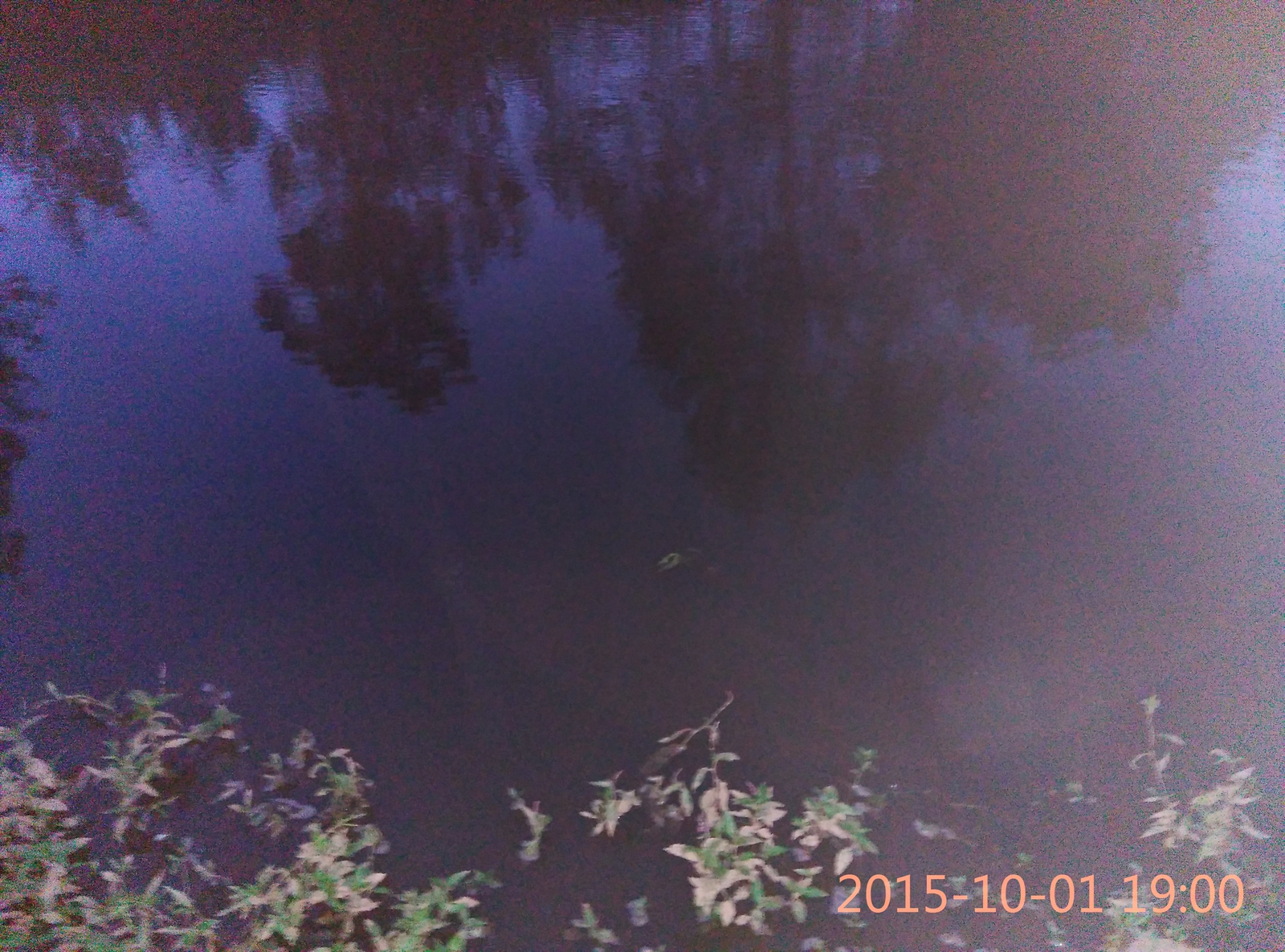 IMG_20151001_190025.jpg
