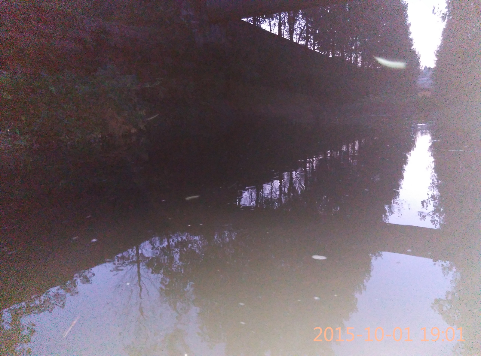IMG_20151001_190127.jpg