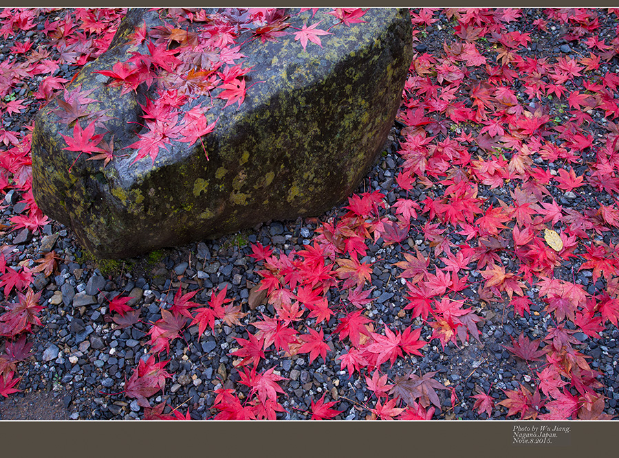 DSC_3754-2.jpg