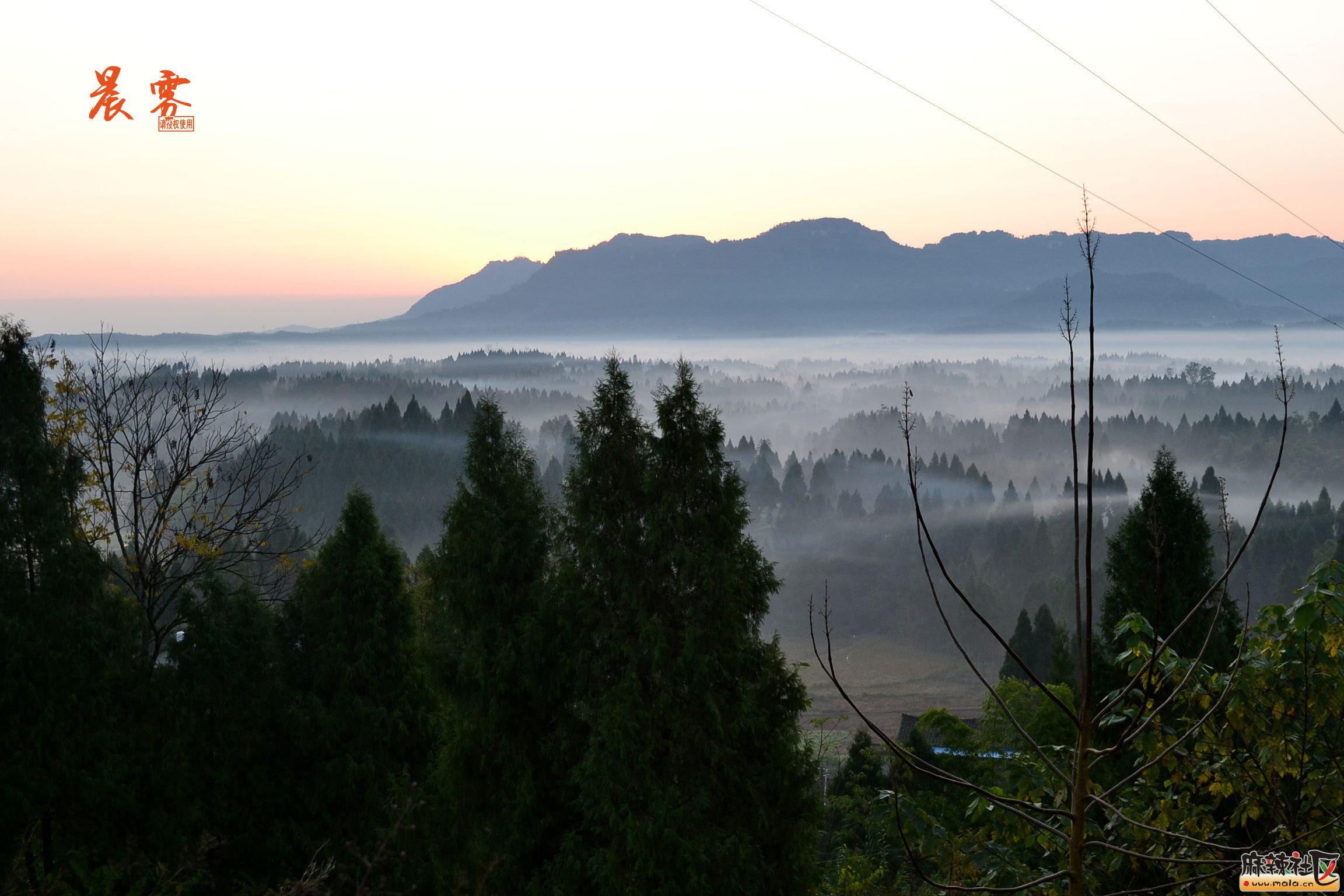 DSC_4477_.jpg