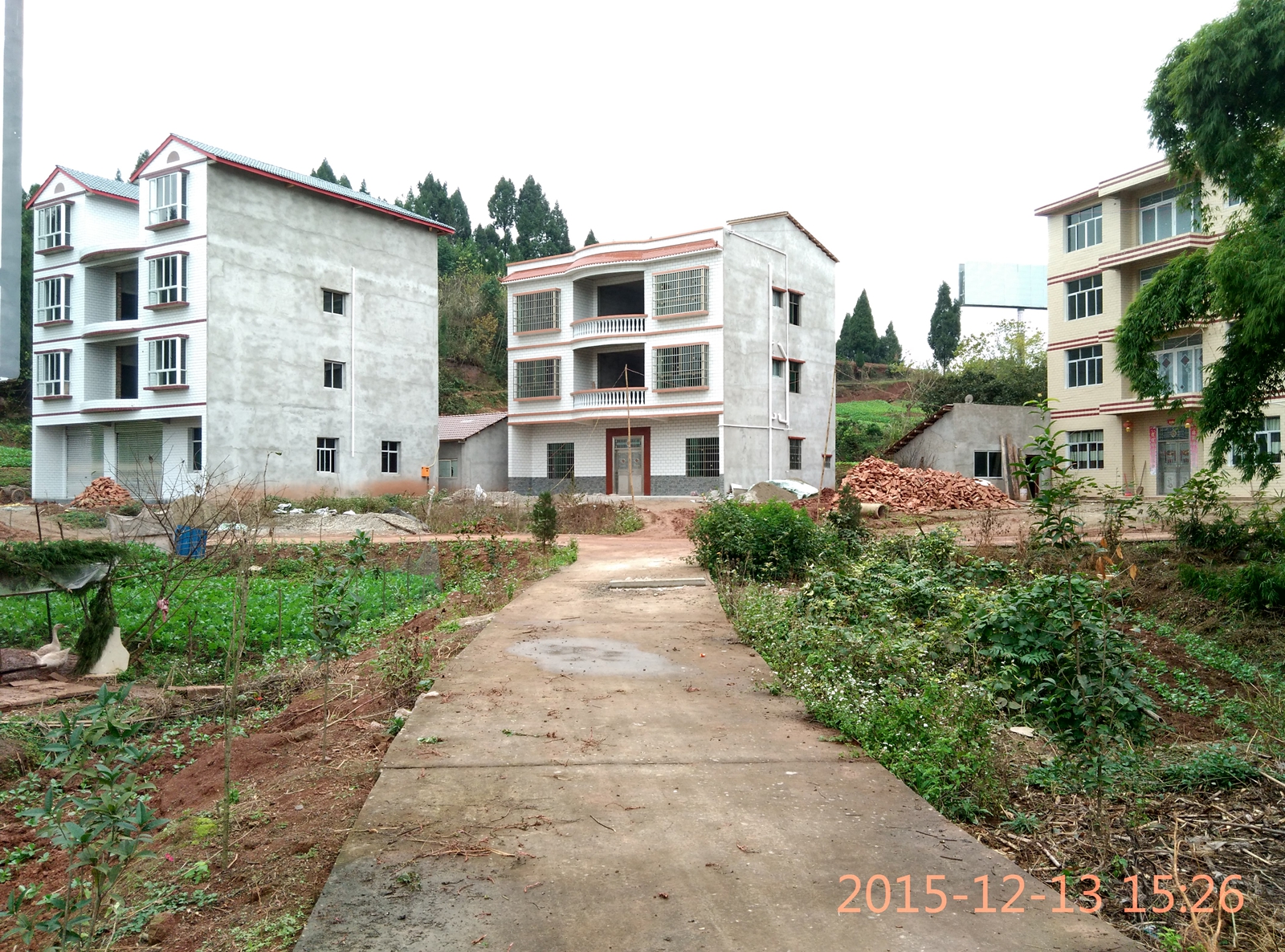 IMG_20151213_152606_HDR.jpg