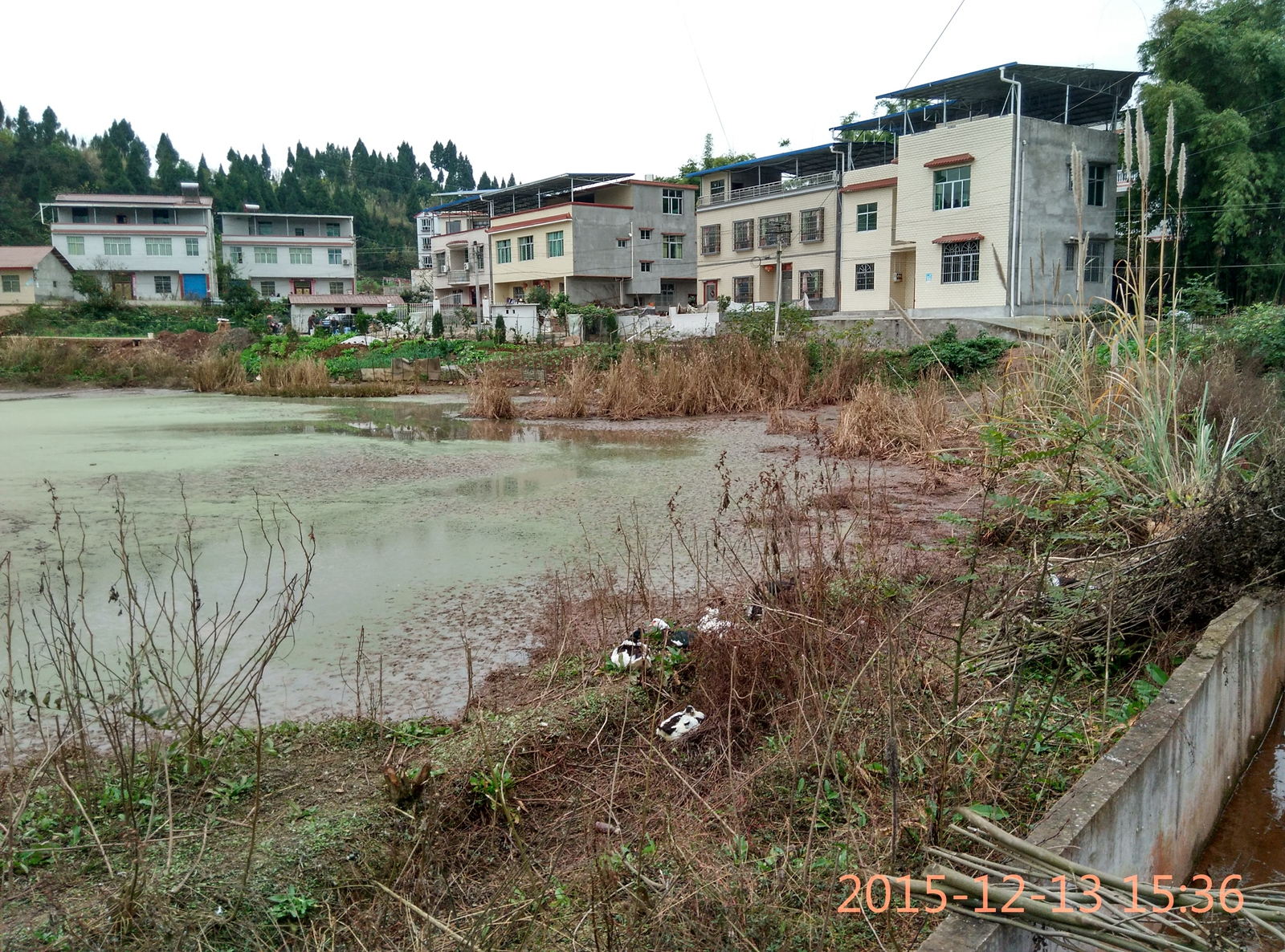 IMG_20151213_153631_HDR.jpg