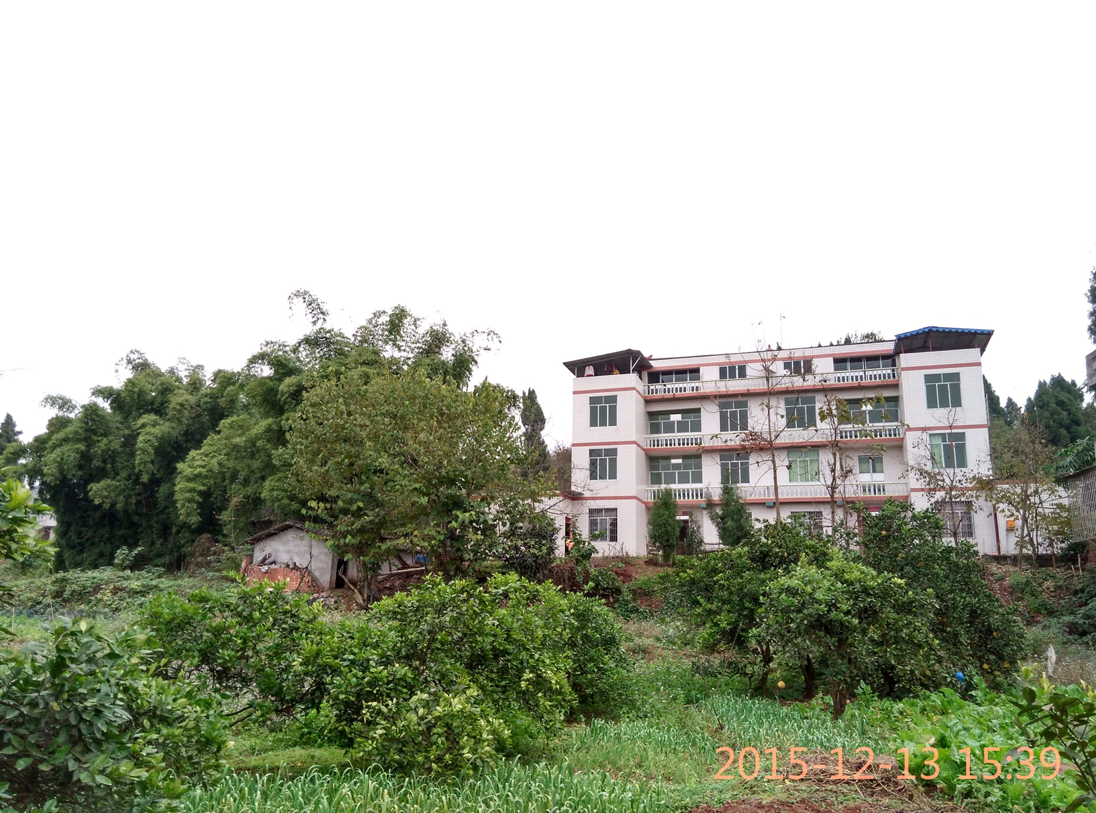 IMG_20151213_153926_HDR.jpg