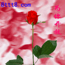 20061215201237048.gif