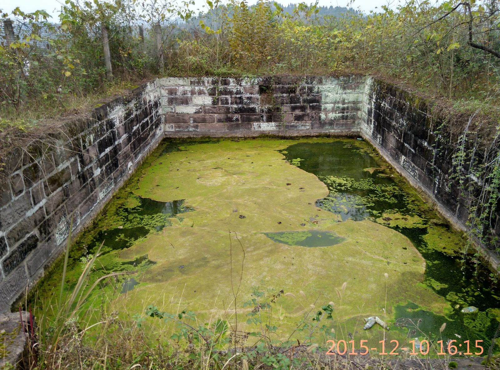 IMG_20151210_161527_HDR.jpg
