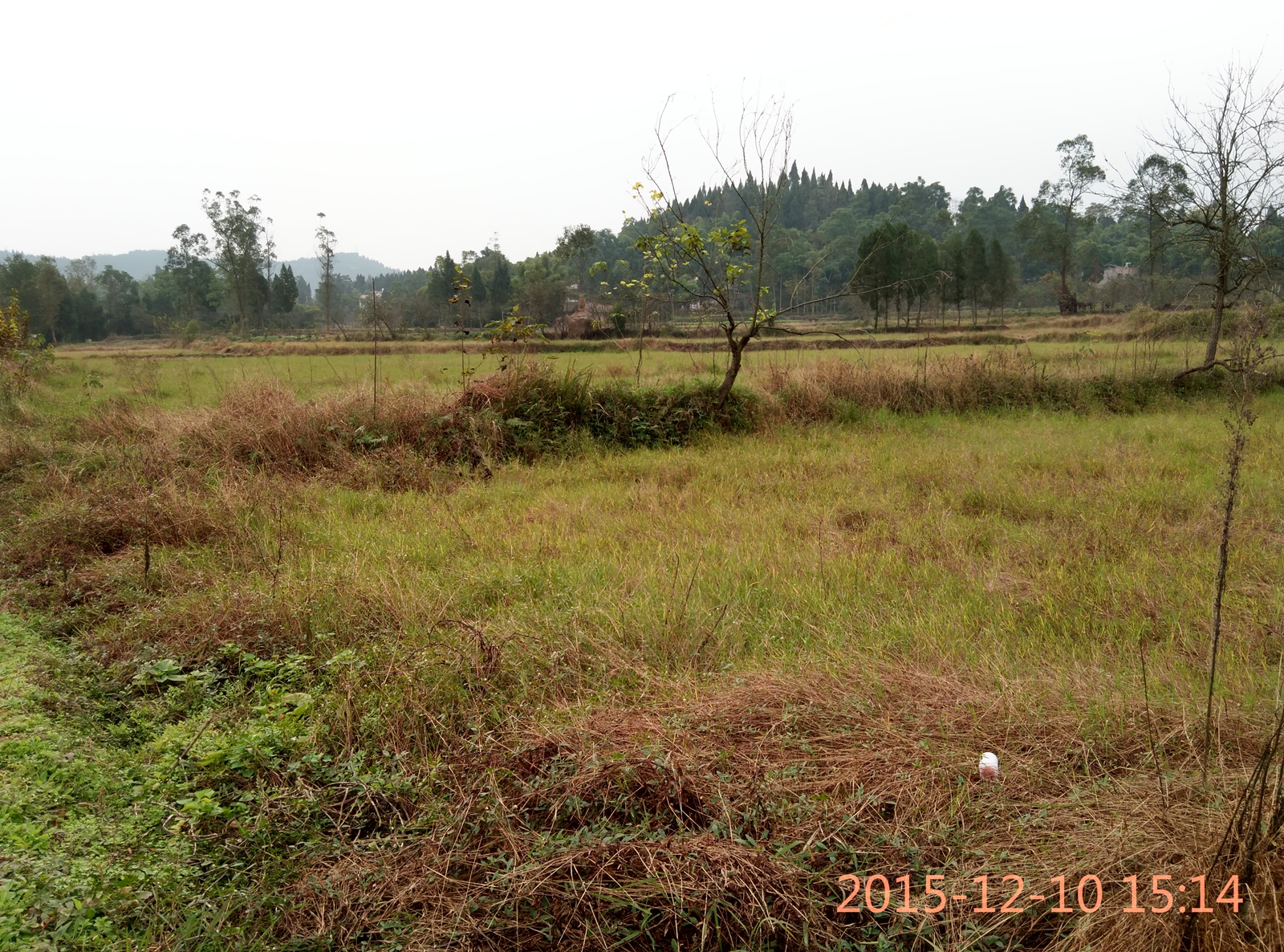 IMG_20151210_151402_HDR.jpg