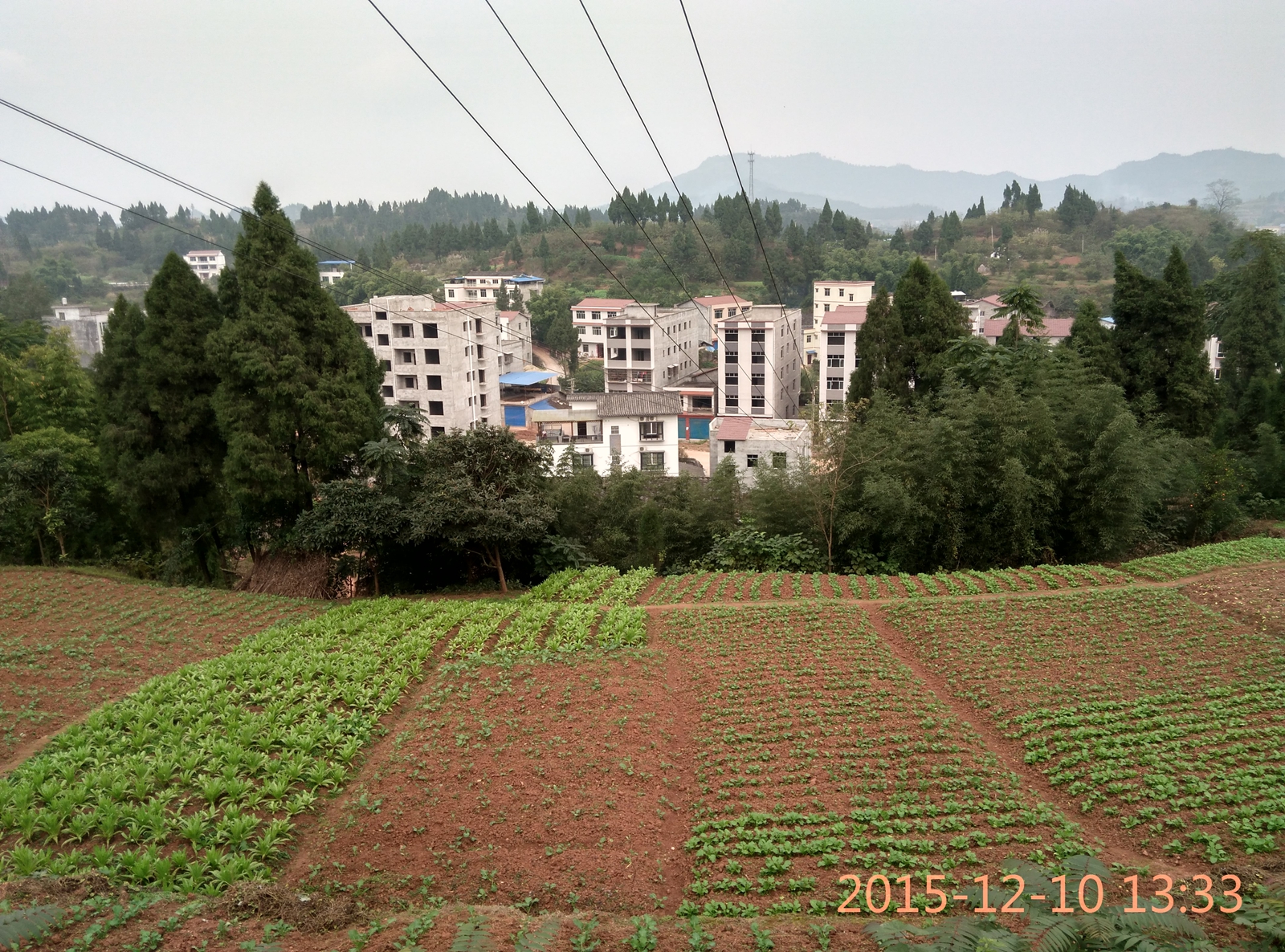 IMG_20151210_133339_HDR.jpg