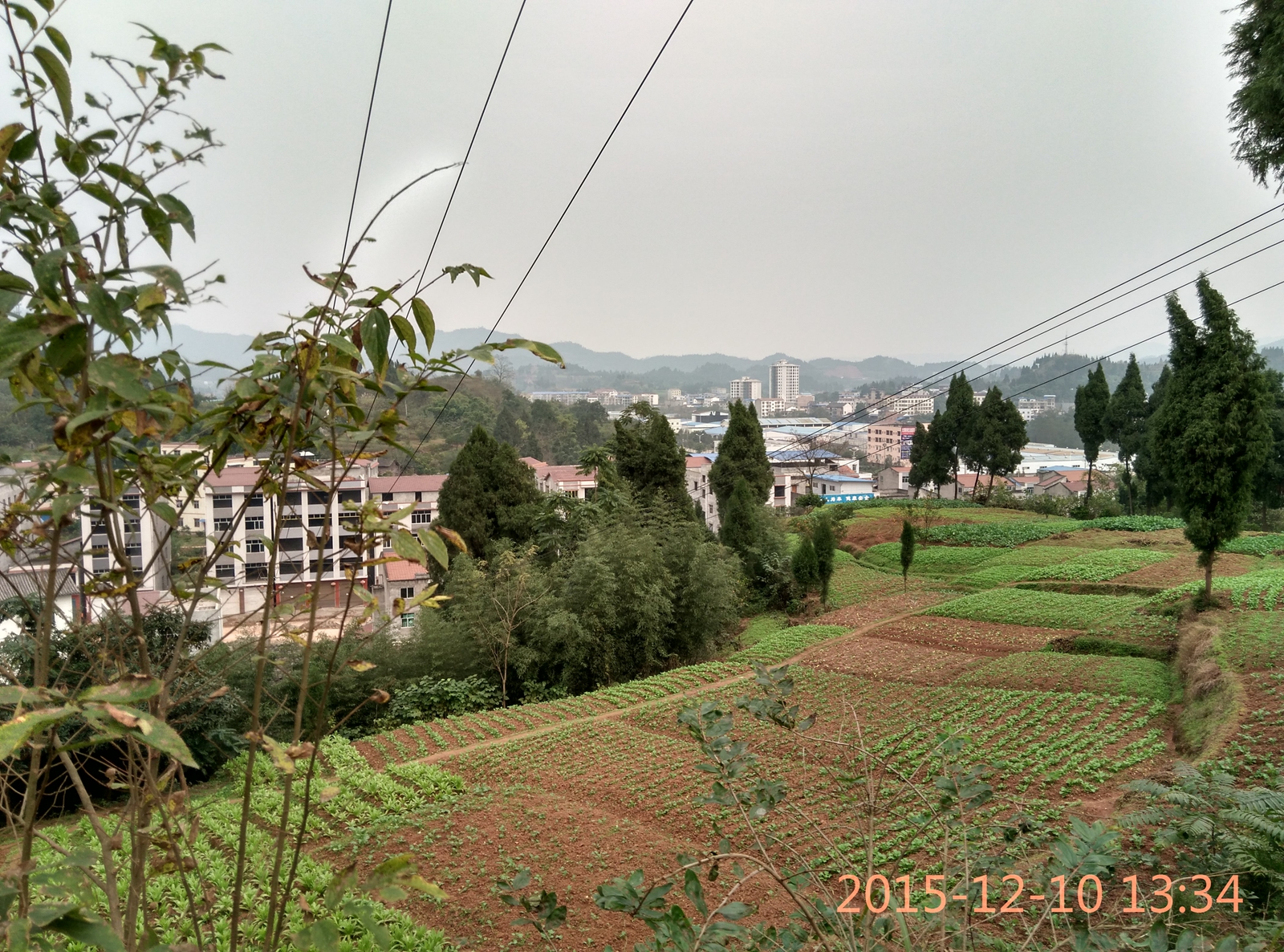 IMG_20151210_133441_HDR.jpg