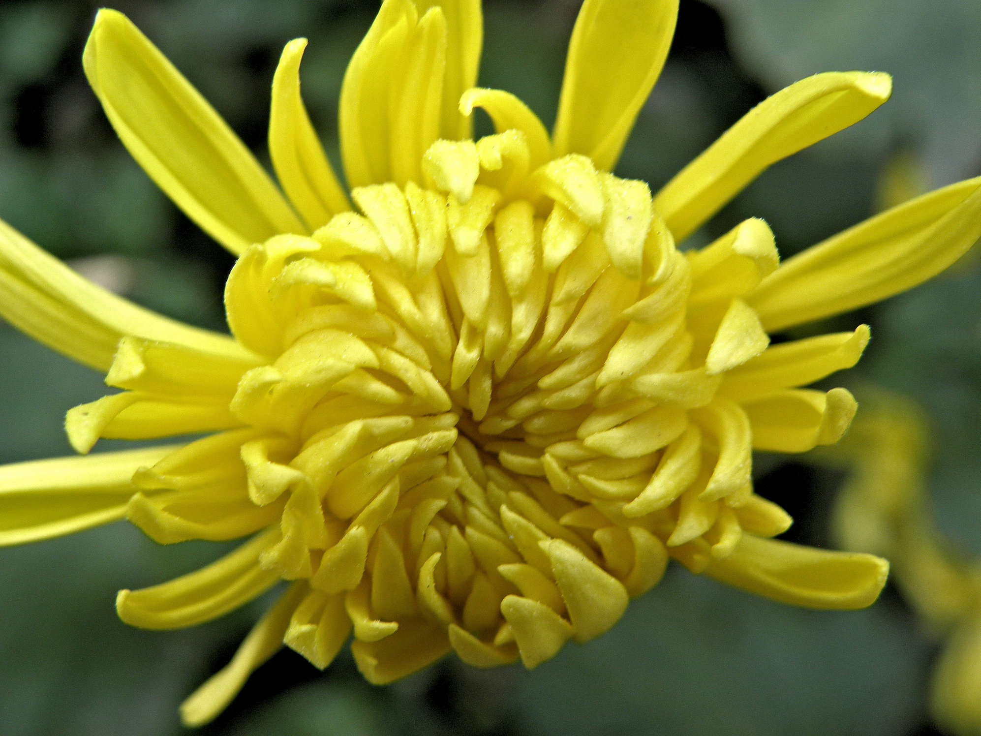 PB127279.JPG