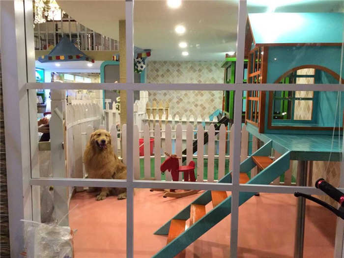 成都"狗狗go"第二家宠物生活馆装修进度,免费接送狗狗洗澡,美容寄养啦