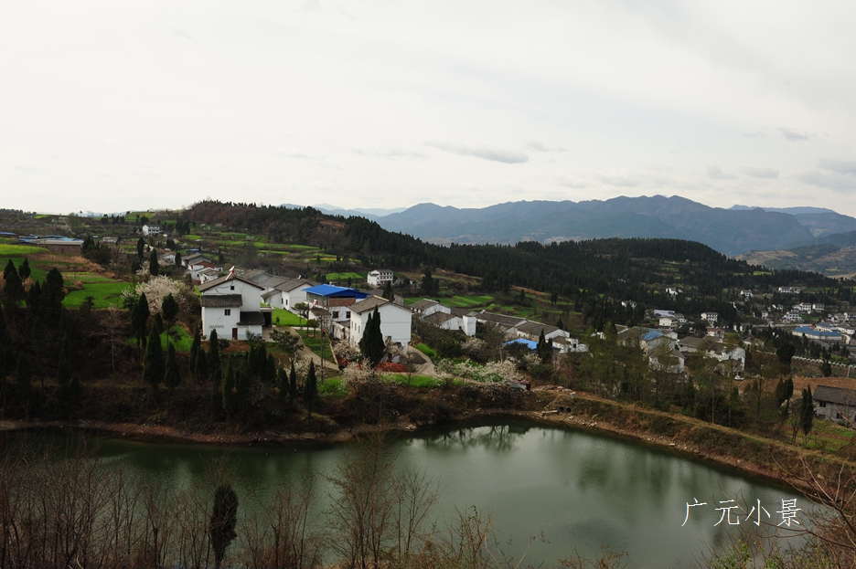 DSC_5595.jpg