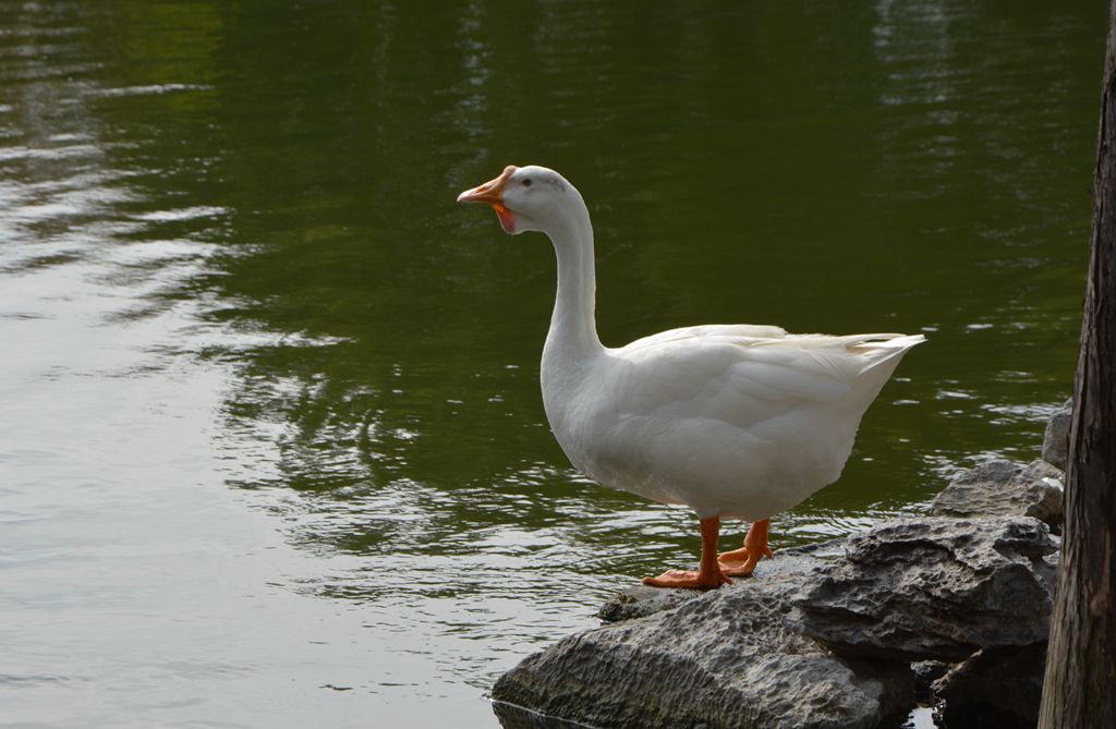 DSC_0434_.jpg