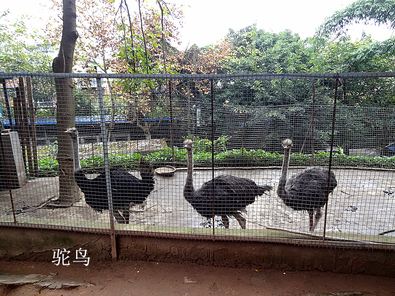 DSC03172_.jpg