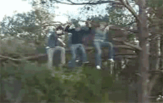t01b194c06d8700e8b6.gif