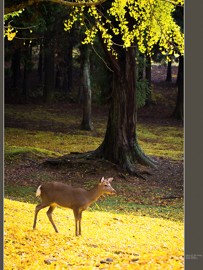 DSC_5806-2.jpg