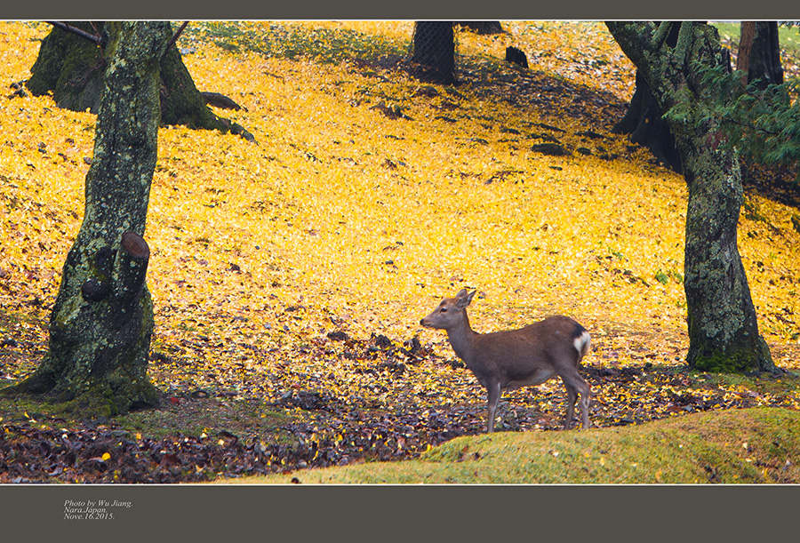 DSC_5770-2.jpg