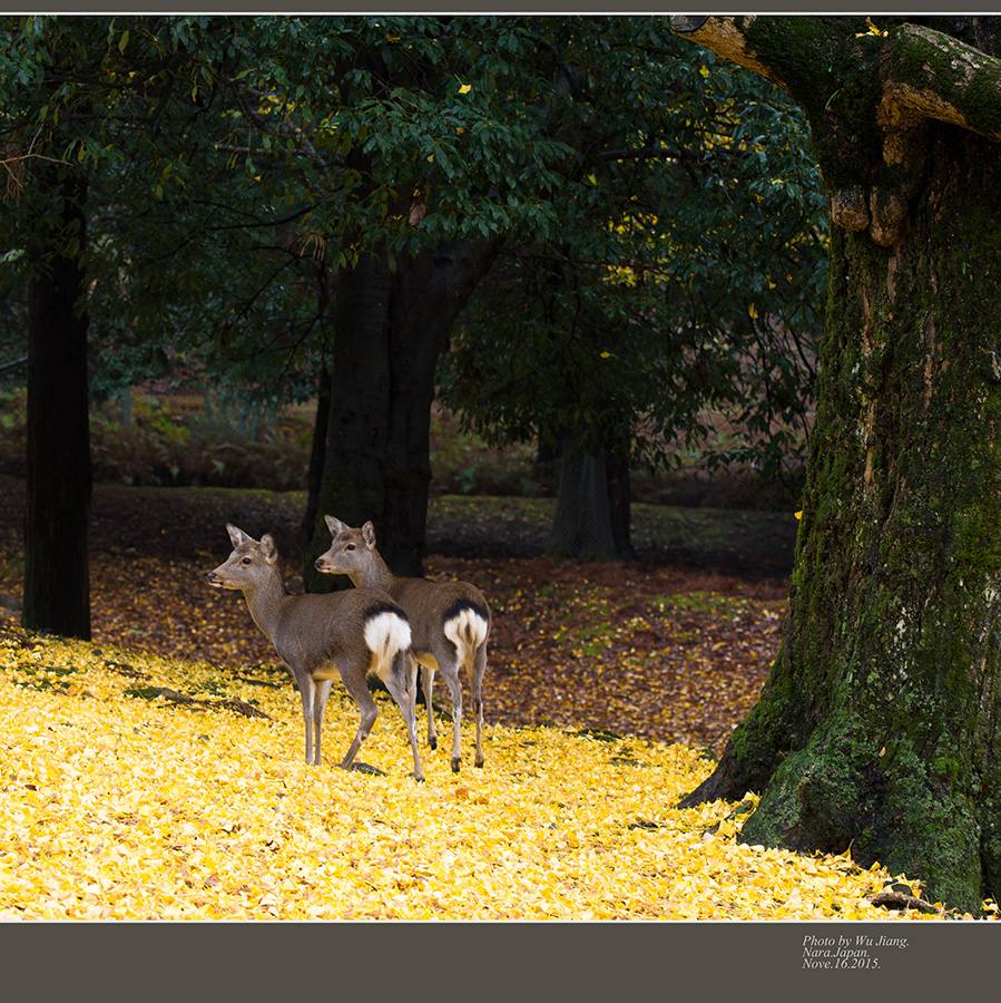 DSC_5790-2.jpg