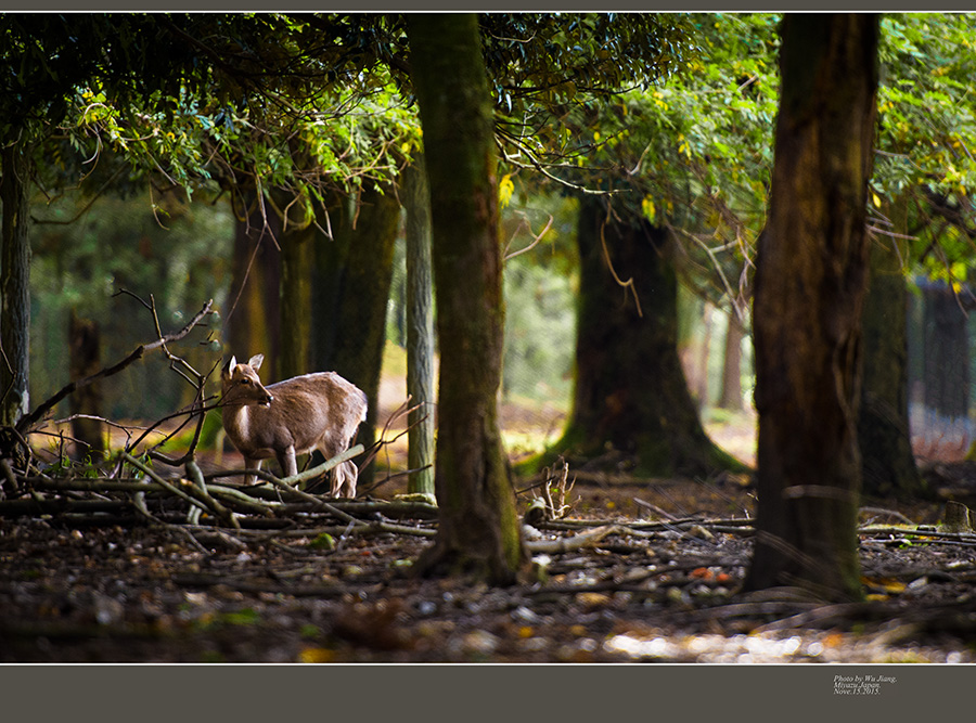 DSC_5386-2.jpg