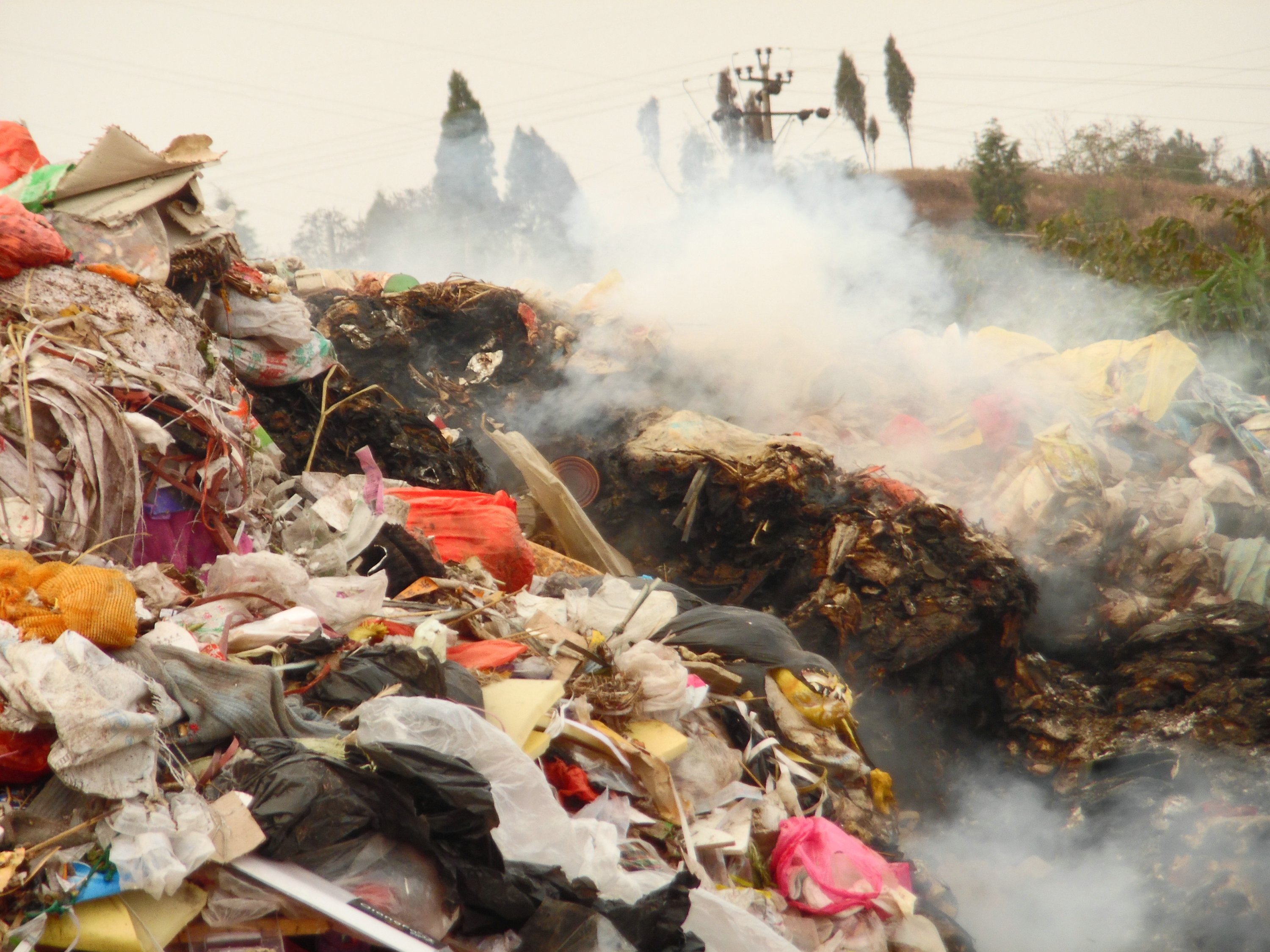 都不正确,是二恶英 露天焚烧垃圾危害巨大 2012-07-05 09:33