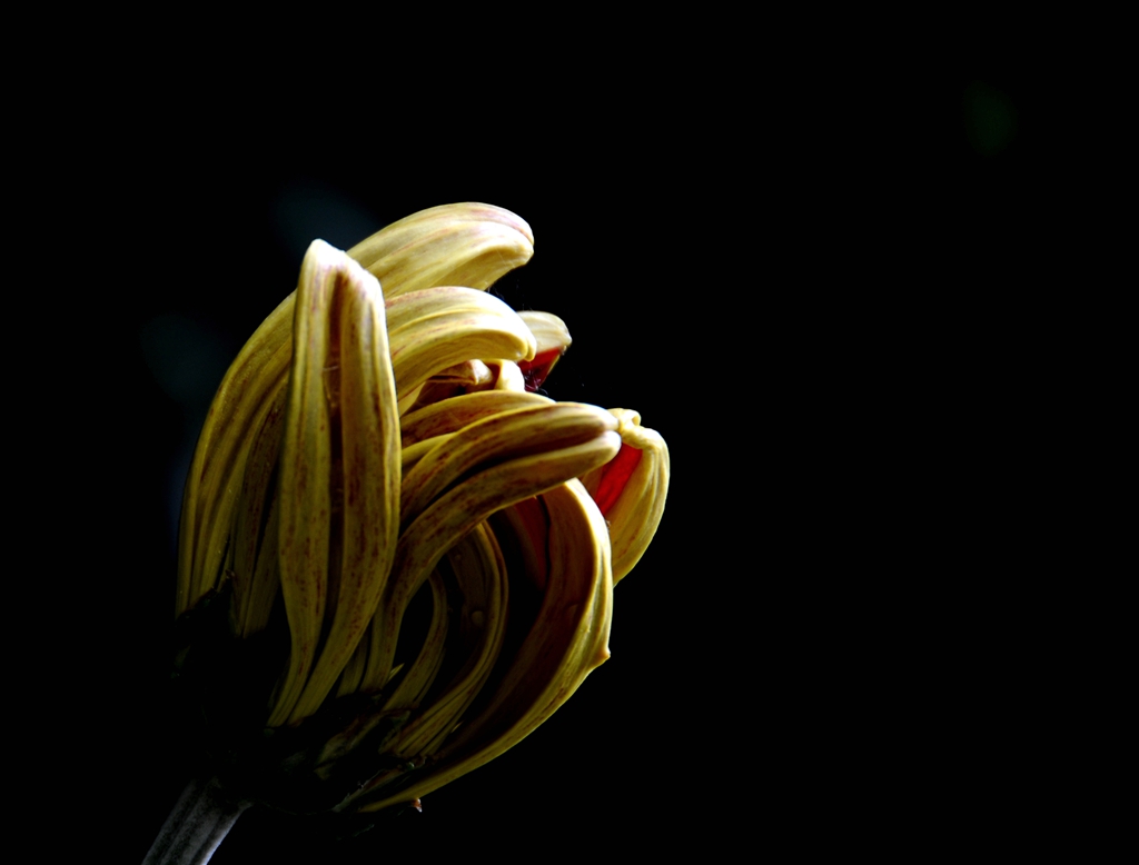 DSC_8943_.jpg