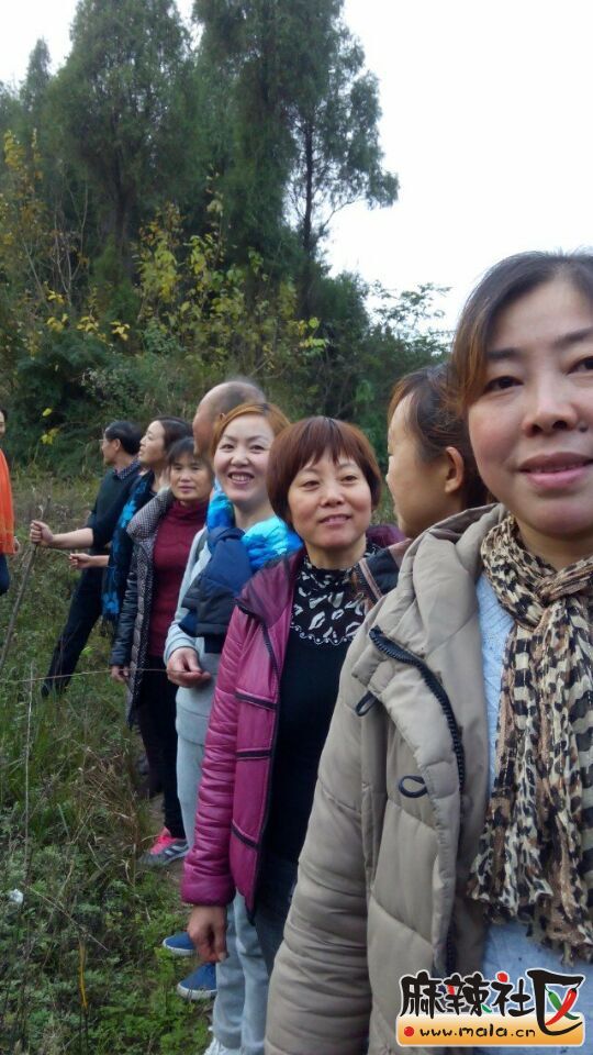 QQͼƬ20151221092135.jpg
