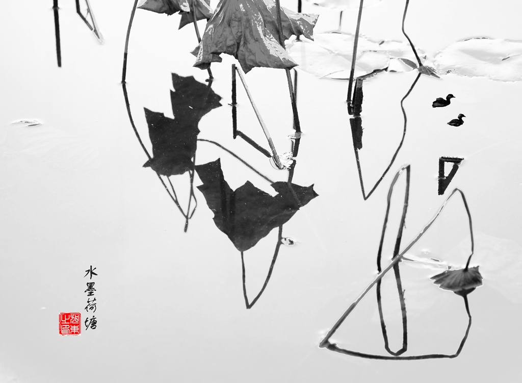 荷塘小品(一)水墨荷塘