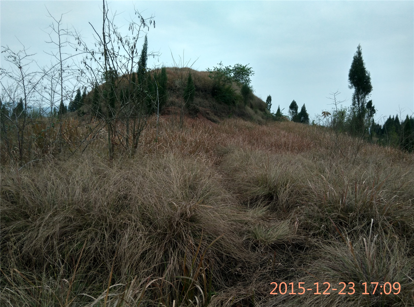 IMG_20151223_170934_HDR.jpg