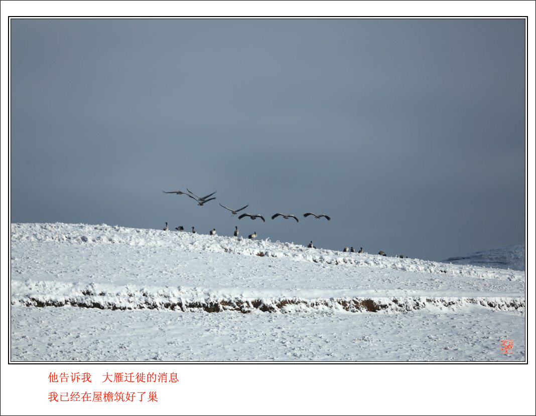ԶǨ (4).jpg