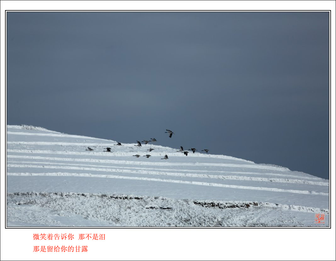 ԶǨ (14).jpg