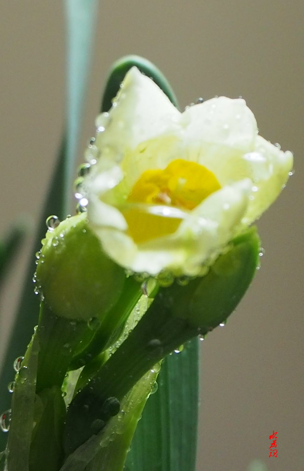 PC210003__.jpg