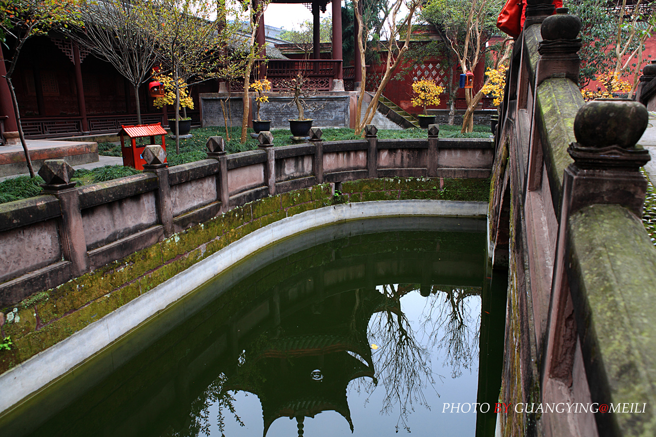 DPP_833611351A.jpg