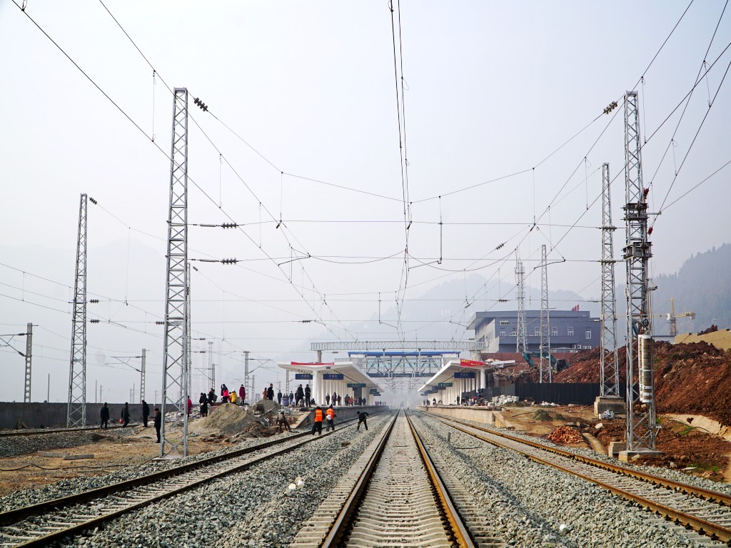 DSC02428_conew1.jpg