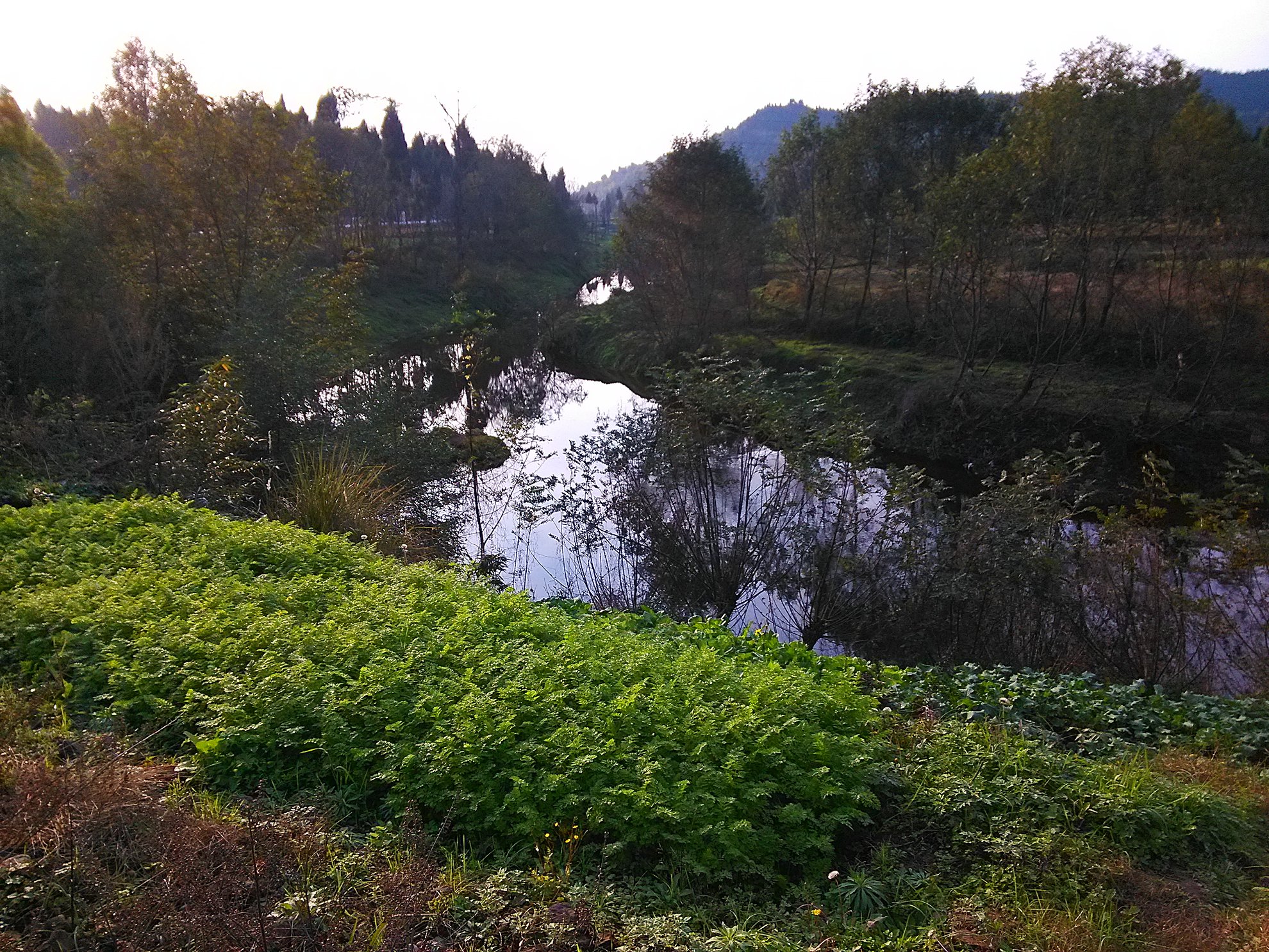 IMG_20151216_163211.jpg