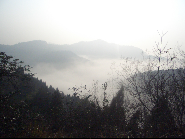 QQͼƬ20151227191335.png