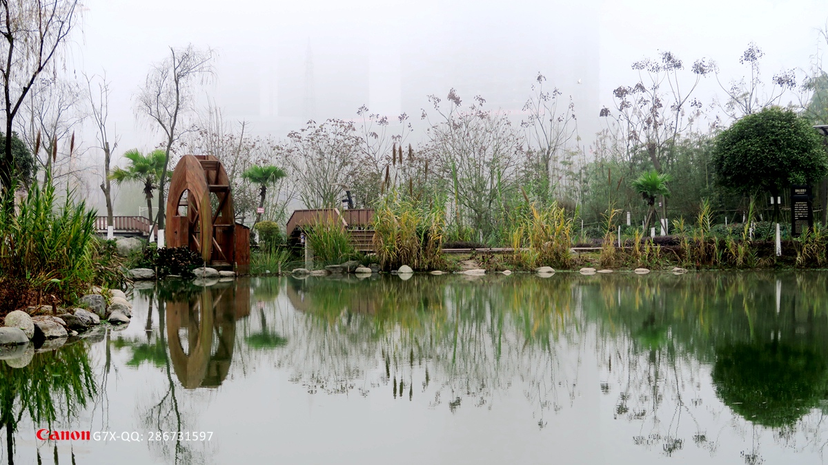 【穿透霧霾看風景,這樣看溼地公園別有一番韻味!】-營山論壇-麻辣社區