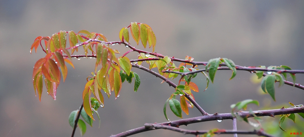 DSC_3907.JPG