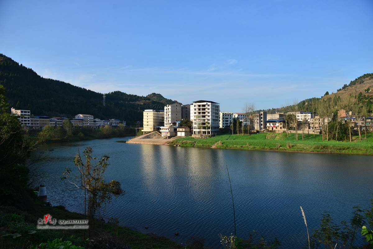 DSC_4424.jpg