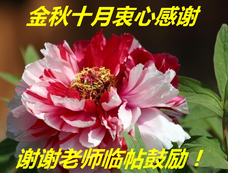 88.jpg